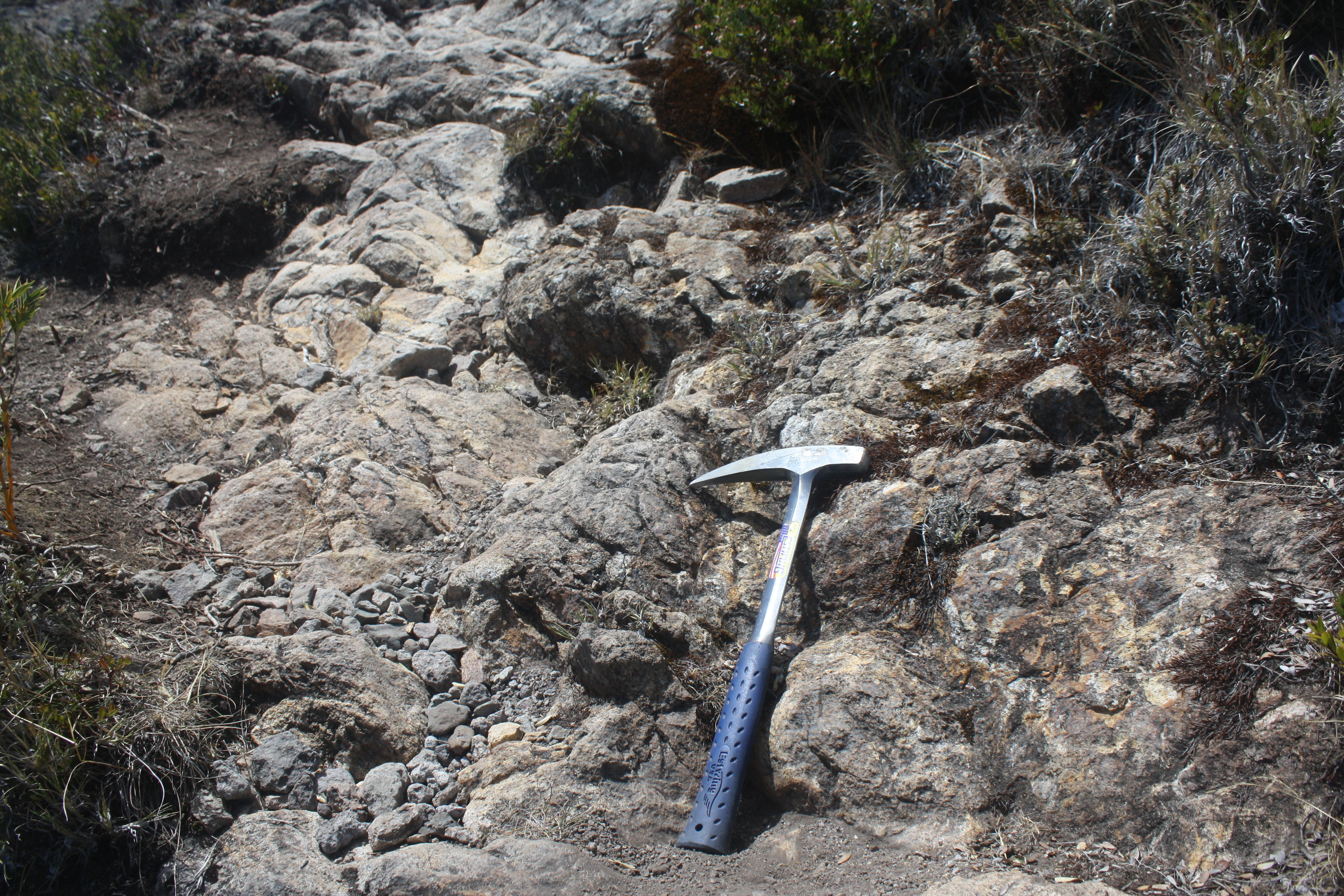 Parque Nacional Chirripó 14